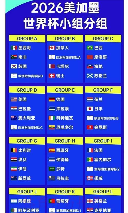 2026世界杯赔率：各路球队最新动态全解析